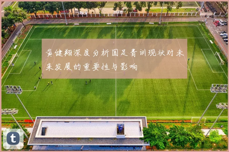 黄健翔深度分析国足青训现状对未来发展的重要性与影响